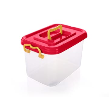 Green 20 liter picnic storage box